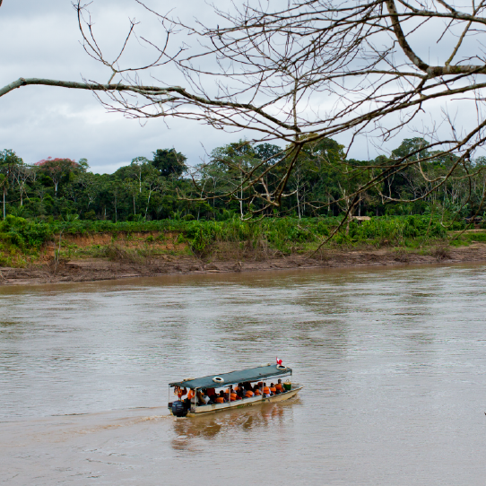 Cultura y tradiciones de Manu